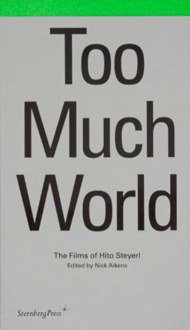 Too much world, The Films of Hito Steyerl. Nick Aikens